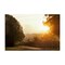 Stupell Industries Golden Morning Between Trees Canvas, design by Gail Peck
